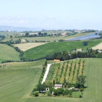 Morrovalle Le Marche