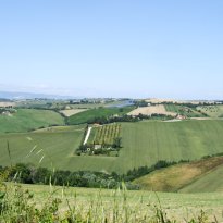 Morrovalle Le Marche