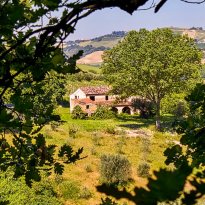 Carassai Le Marche