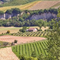 Carassai Le Marche
