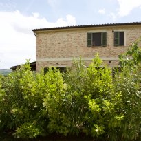 Corinaldo Le Marche