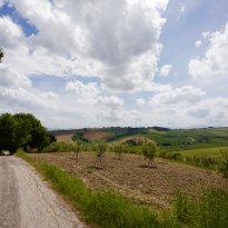 Corinaldo Le Marche