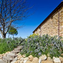 Montesecco Le Marche
