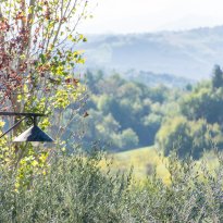 San Severino Marche Le Marche