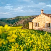 Mergo Le Marche