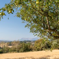 Loro Piceno Le Marche