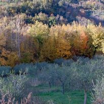 Sant'Angelo in Pontano Le Marche