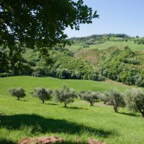 Mombaroccio Le Marche