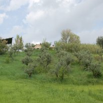 Loro Piceno Le Marche