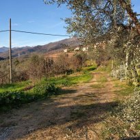 Ranzo Liguria