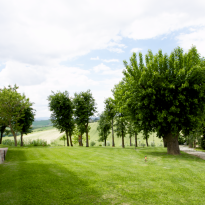Belvedere Ostrense Le Marche
