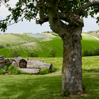 Belvedere Ostrense Le Marche