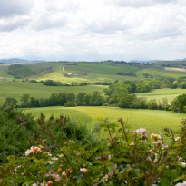 Belvedere Ostrense Le Marche
