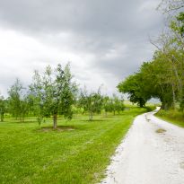 Belvedere Ostrense Le Marche