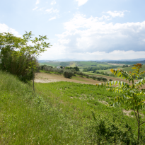 Belvedere Ostrense Le Marche