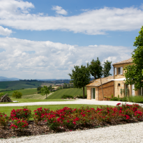 Belvedere Ostrense Le Marche