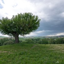 Petriolo Le Marche