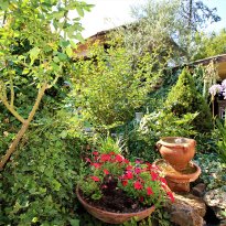 Dolceacqua Liguria