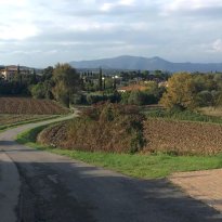 Manerba del Garda Lago di Garda