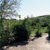 Monastero Bormida Piemonte