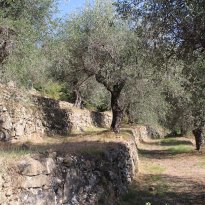 Dolceacqua Liguria