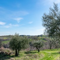 Loro Piceno Le Marche