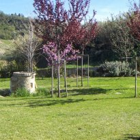 Ripatransone Le Marche