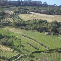 Ripatransone Le Marche
