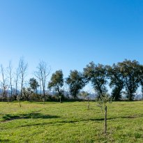 Falerone Le Marche