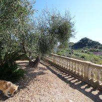 Bussana Liguria