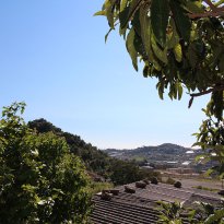 Bussana Liguria