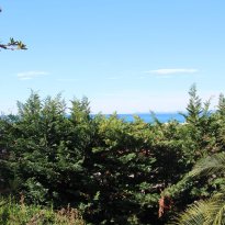 Bordighera Liguria