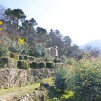 Perinaldo Liguria
