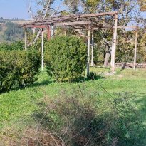 Barchi - Terre Roveresche Le Marche