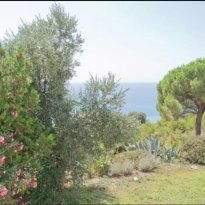 Camporosso Liguria