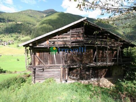 Rabbi Trentino-Alto Adige