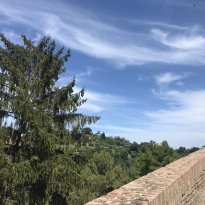 Colli al Metauro Le Marche