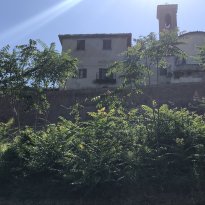 Colli al Metauro Le Marche