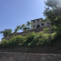 Colli al Metauro Le Marche