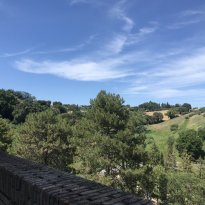 Colli al Metauro Le Marche