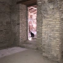Colli al Metauro Le Marche