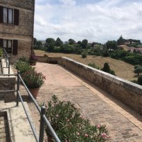 Colli al Metauro Le Marche