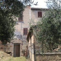 Colli al Metauro Le Marche