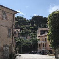 Colli al Metauro Le Marche