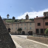 Colli al Metauro Le Marche