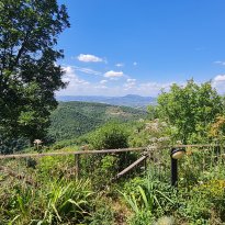 Bettona Umbria