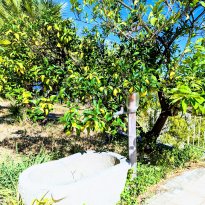 Alassio Liguria