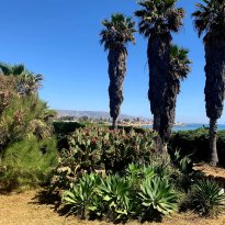 LIDO di Noto Sicilia