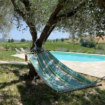 Cupramontana Le Marche