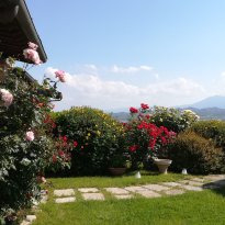 Castiglione del Lago Umbria